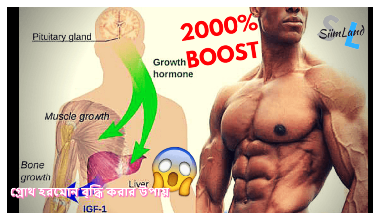 d গ্রোথ হরমোন বৃদ্ধি করার উপায় boost growth hormone naturally.png